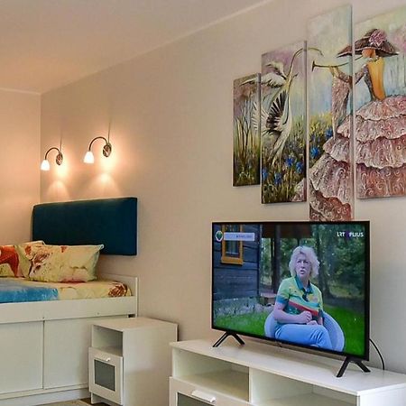 Stilingi Apartamentai Su Virtuve Traku Miesto Centre Trakai Esterno foto