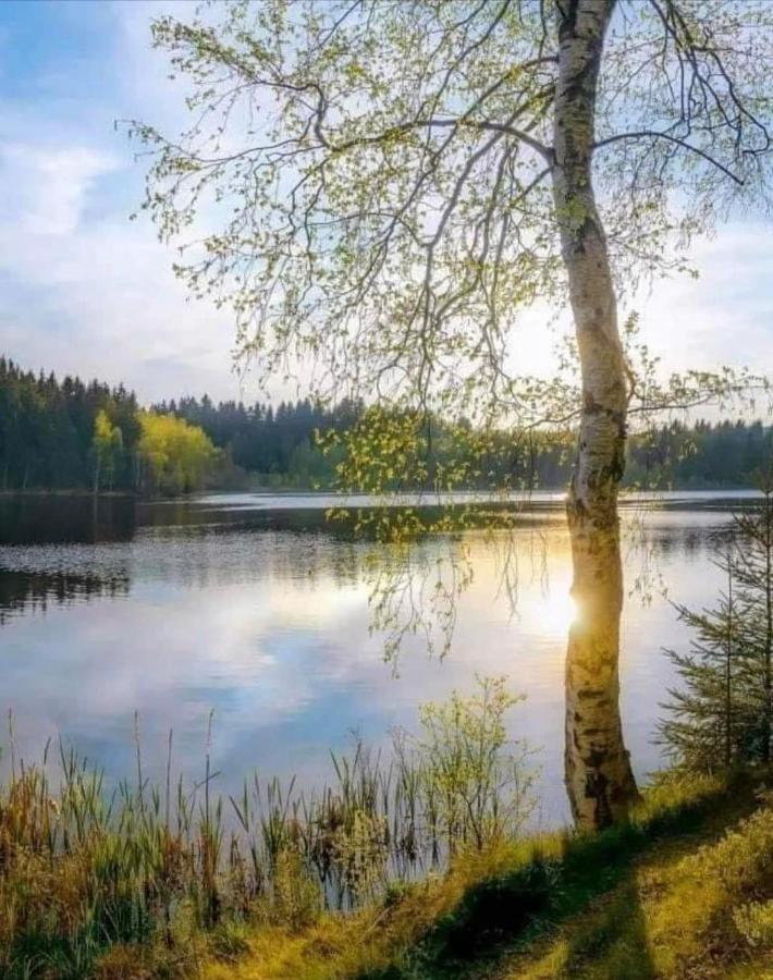 Stilingi Apartamentai Su Virtuve Traku Miesto Centre Trakai Esterno foto