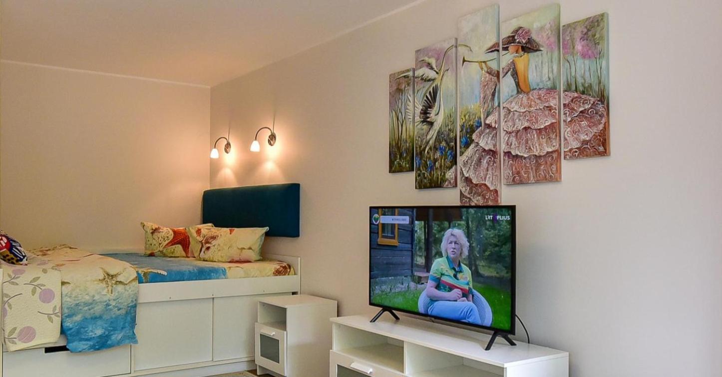 Stilingi Apartamentai Su Virtuve Traku Miesto Centre Trakai Esterno foto