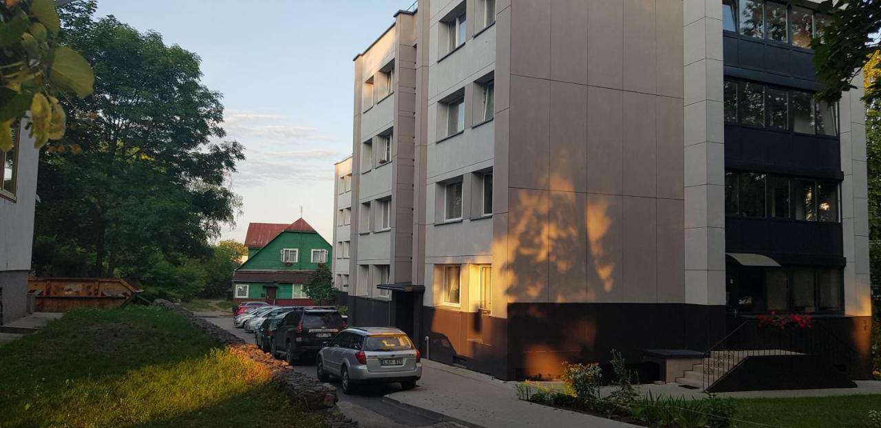 Stilingi Apartamentai Su Virtuve Traku Miesto Centre Trakai Esterno foto